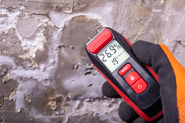 Mold Removal and Inspection in Wauna, WA