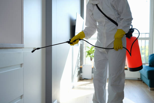 Best Professional Mold Removal  in Una, WA