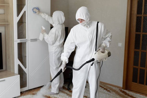 Best Certified Mold Removal  in Una, WA