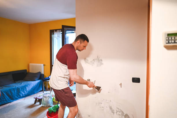 Best Mold Cleaning Services  in Una, WA