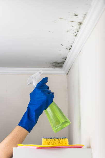 Best Water Damage Restoration  in Una, WA